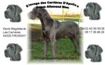 Description : Copie de Copie de logo